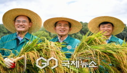 영주시, 8·15 광복쌀 올해 첫 벼베기 실시