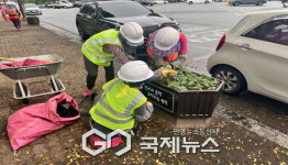 영주시, 노란빛과 주황빛 메리골드로 여름 도심 물들이다