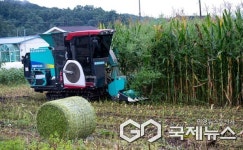 제천시, 자주식 옥수수 베일러 시연회 개최