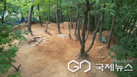 용인시, 보라산 백제고분군 긴급발굴조사 현장 공개