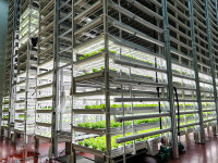 진스마트팜, 20단 수직농장으로 미래 농업의 청사진 제시