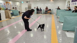 구리시, 반려동물 문화교실 더 행복하개 9월 개강