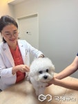 대구광역시 동물등록 반려견 대상 지정 동물병원에서 선착순 접종한다