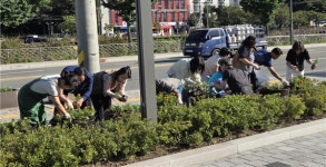 원주시 태장2동통장협의회, 아름다운 명품마을 만들기 흥양천 꽃길 조성