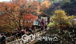 흙길 따라, 물길 따라… 죽계구곡에서 만나는 라디엔티어링