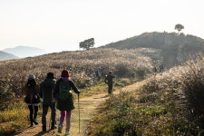 제4회 황매산 억새축제, 10월 18일 개막