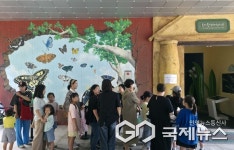 군포시 초막골생태공원 반딧불이 체험 프로그램 성료