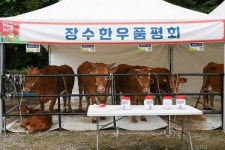 장수군, 제19회 장수한우랑사과랑 축제 성황리 폐막