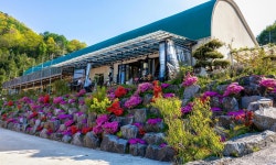 (주) 좋은 마음, 내달 11~12일 논산 황산벌서 편백숲 인절미 축제 펼친다