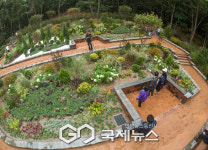 강서구, 봉제산에 새 황톳길 개장...생활권 힐링 공간 확산