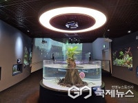 단양군, 추석 황금연휴 기간 가족 나들이 명소로 주목