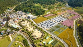 고인돌 유적지 속 공룡…화순 가을꽃 축제 17일 개막