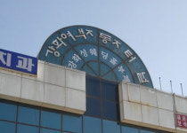 60대 여성 주차하던 버스에 치어 사망