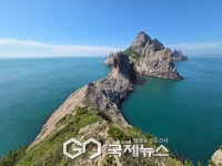 산림청 국립수목원, 전남 진도 명도와 병풍도...갯꼬리풀 신규 자생지 발견