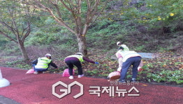 평은면 평은2리주민, 국토대청결운동 주요도로변 환경정비 실시