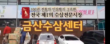 금산 인삼의 날, 인삼 소비촉진 행사 ... 구매 고객 금산사랑상품권 지급