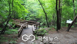길에서 배우는 인문학, 소백산자락길을 걷다
