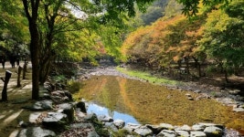 순창군 강천산군립공원, 10월 24일부터 가을 성수기 운영 시작