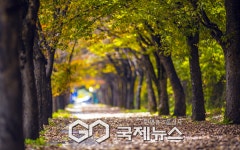 보령시 25일 서각 예술제와 성주산 단풍축제 개최