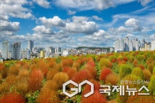 울산 동구, 2025 울산동구 사진·숏폼 공모전 입상작 선정