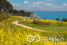 울산 동구, 2025 울산동구 사진·숏폼 공모전 입상작 선정