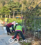 평은면 천본2리주민 마을 주요도로변 환경정비 실시