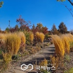 [포토] 장자 호수 공원