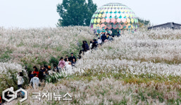 은빛억새가 장관을 이루고 있는 하늘공원