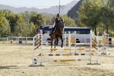 중원대학교 승마부, 회장배 대회서 우수 성적 거둬