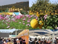 샛노란 유자향 가득! 오감만족 고흥 유자축제 성황