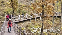 보은군, 속리산 둘레길 걷기 축제...힐링 시간 가져