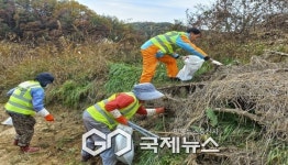 평은면 천본1리 마을주민 토일천 하천하구 및 주요도로변 환경정비 실시