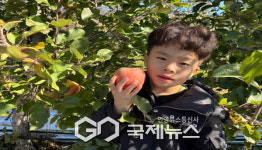 문수초, 함께 자라는 유초이음교육, 사과향기 속으로!