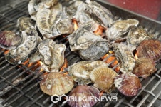 보령 천북 굴축제 15일 개막...겨울철 별미 선사