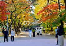 [국제포토] 나의 미소 & 가을 낭만
