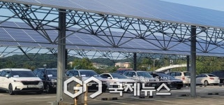 안산시 단원구, 체납차량 21대 매각…공매로 누적 61대 처분