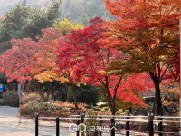 상주시, 성주봉자연휴양림 가을 나들이 명소