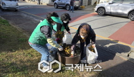 단산면 새마을부녀회, 깨끗한 동네 위한 환경정비 실시