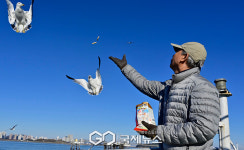 [국제포토] 힐링 타임, 섬 여행