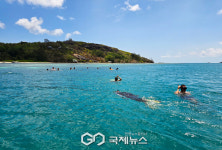[세이셸] 인도양 청정바다에서 스노클링