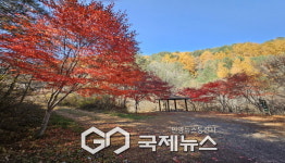 봉화군 석포면 자연이 주는 선물, 석포 투어로 가을을 품다