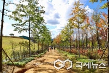 충주시, 사계절 다양한 감성과풍경 갖춘 관광도시로 자리매김