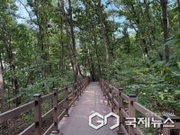 도심 속 쉼터 확대… 하남시 황산숲 데크로드 12월부터 시민 누구나 이용