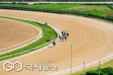 렛츠런파크 부경, 12월 경마시행계획 발표...21일 경남도민일보배 특별경주