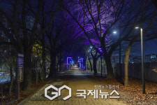 밤이 더 아름다운 양천구, 안양천 빛으로 물들이다