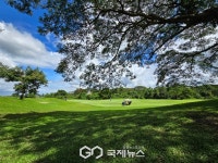 [마닐라골프여행] 이글릿지 파인힐스