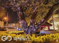 부산 사하구, 주요관광지 희망의 빛거리 조성