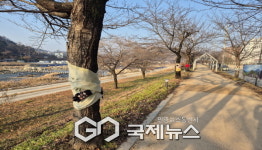 영주시 휴천2동 주민자치위원회, 트리허그 힐링포토존 조성