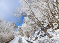 소백산 아름다움 겨울바람 따라 등산객들 관심 다시 단양 잰 걸음