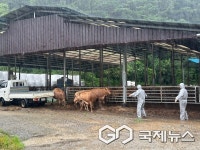 경남도, 내년 가축재해보험 지원 강화...역대 최대 예산 확보